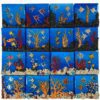 acquario